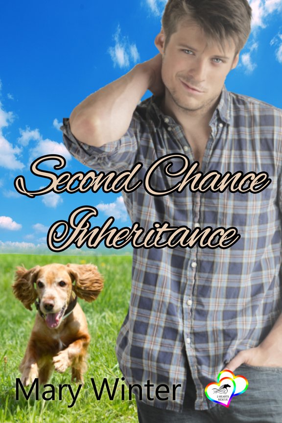 Book Cover: Second Chance Inheritance