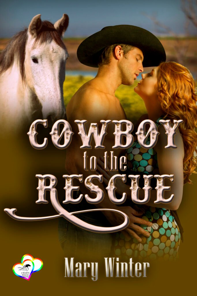 Book Cover: Cowboy to the Rescue