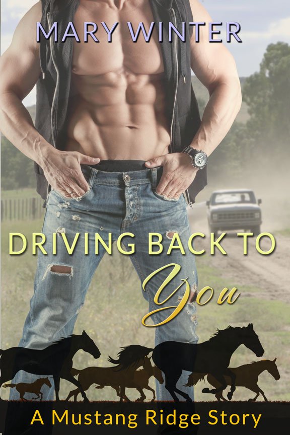 Book Cover: Driving Back To You