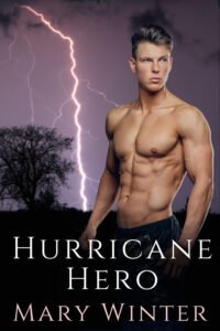 Book Cover: Hurricane Hero