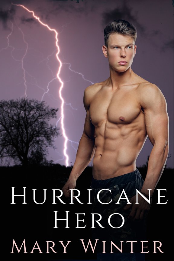 Book Cover: Hurricane Hero