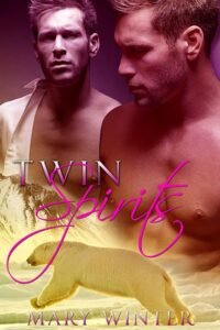 Book Cover: Twin Spirits